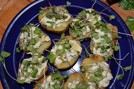 49'ers Sophisticated Tater Skins