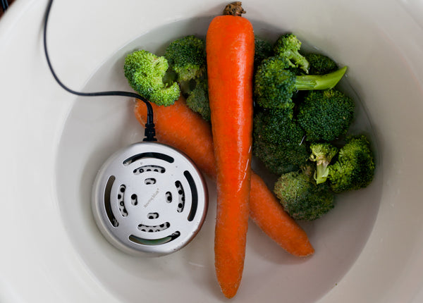 Roving Blue® Ozo-Pod™ 10 AC/DC